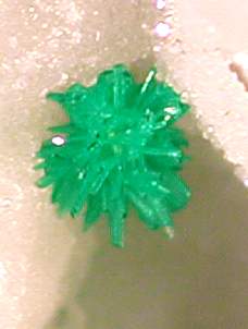 Brochantite, Rhyolite Pass